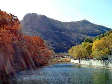 管家婆黑白马报图库，花都逍遥游